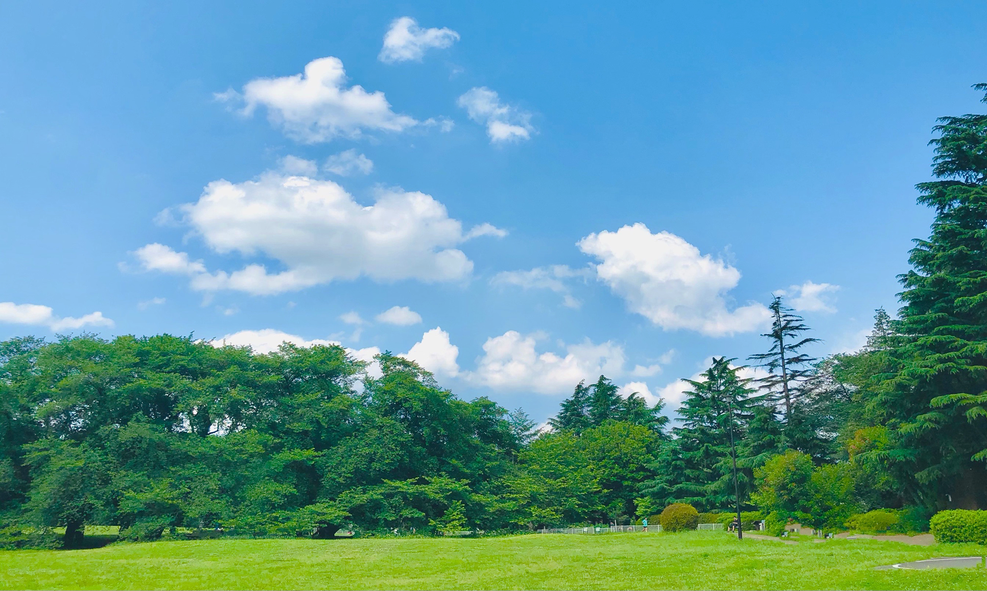 背景画像